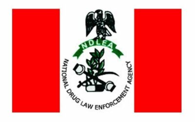 NDLEA unveils digital portal for drug tests, visa clearance certificates